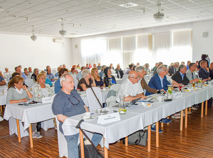 Zhromaždenie delegátov s mimoriadnou voľbou